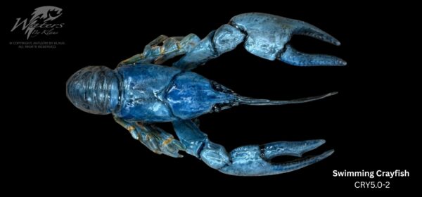 Crayfish Reproductions - Image 12