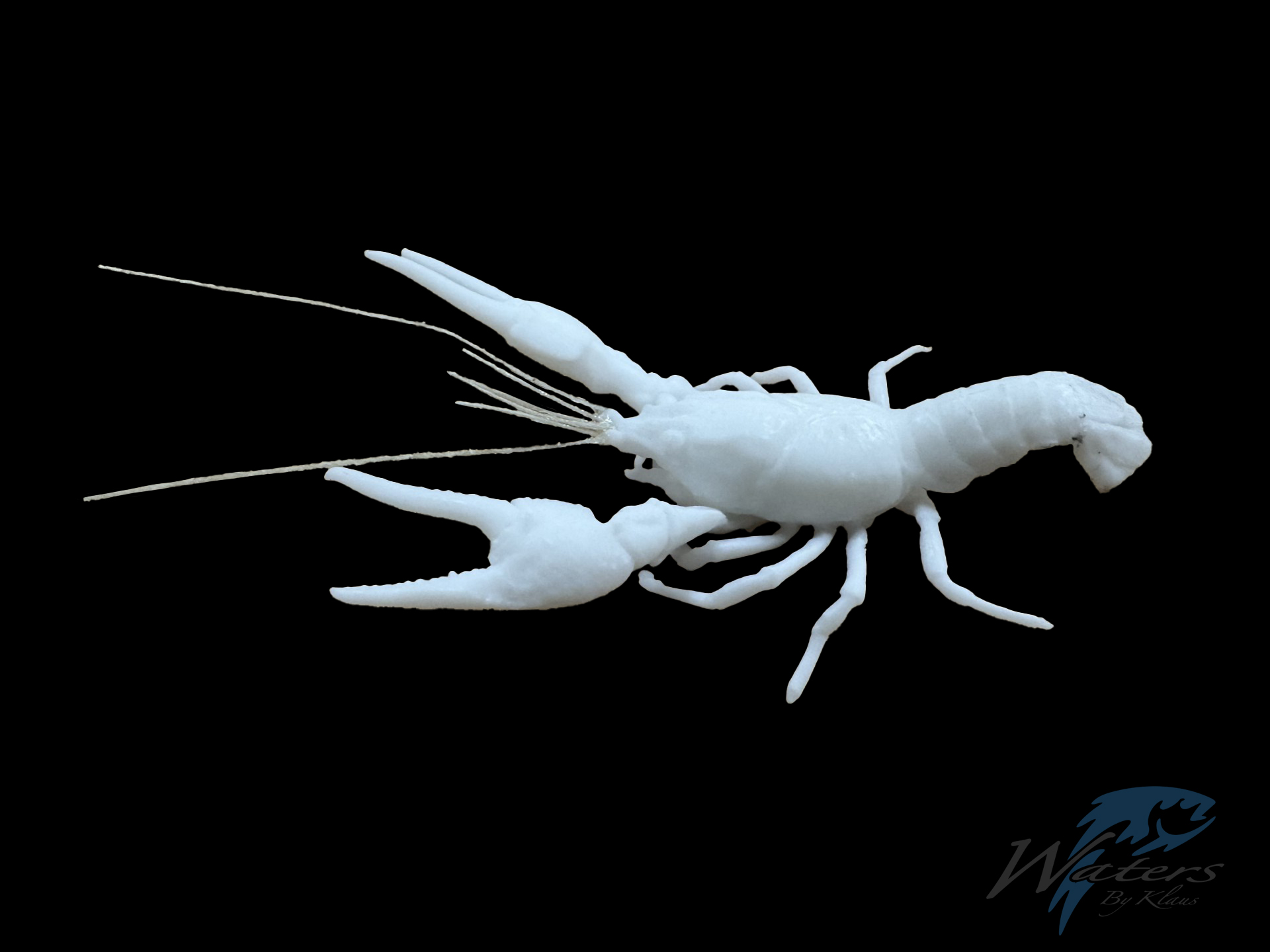 3D printed defending crayfish reproduction in pose 2 sold by Waters by Klaus.