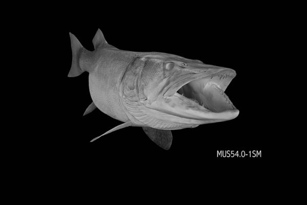 54 inch Muskellunge 360° fish blank by Waters By Klaus