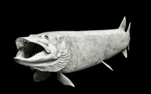 Muskellunge Reproductions