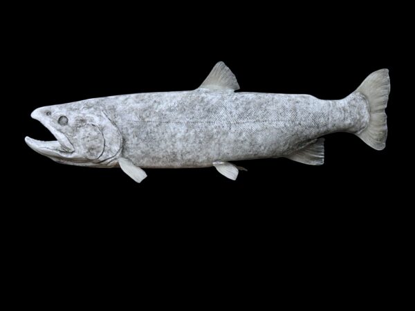 Lahontan Cutthroat Trout