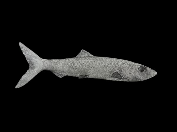 Herring Reproductions