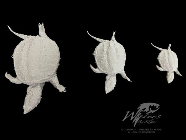 Snapping Turtles - Image 2