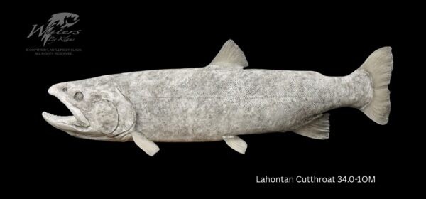 Lahontan Cutthroat Trout - Image 3