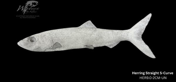 Herring Reproductions - Image 3