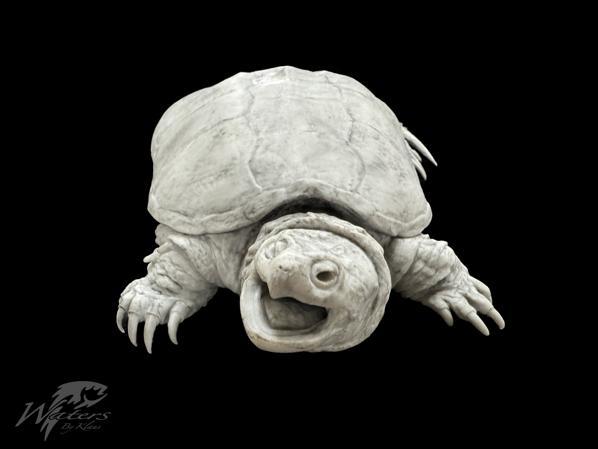 3D Printed Common Snapping Turtle Reproductions sold by Waters By Klaus