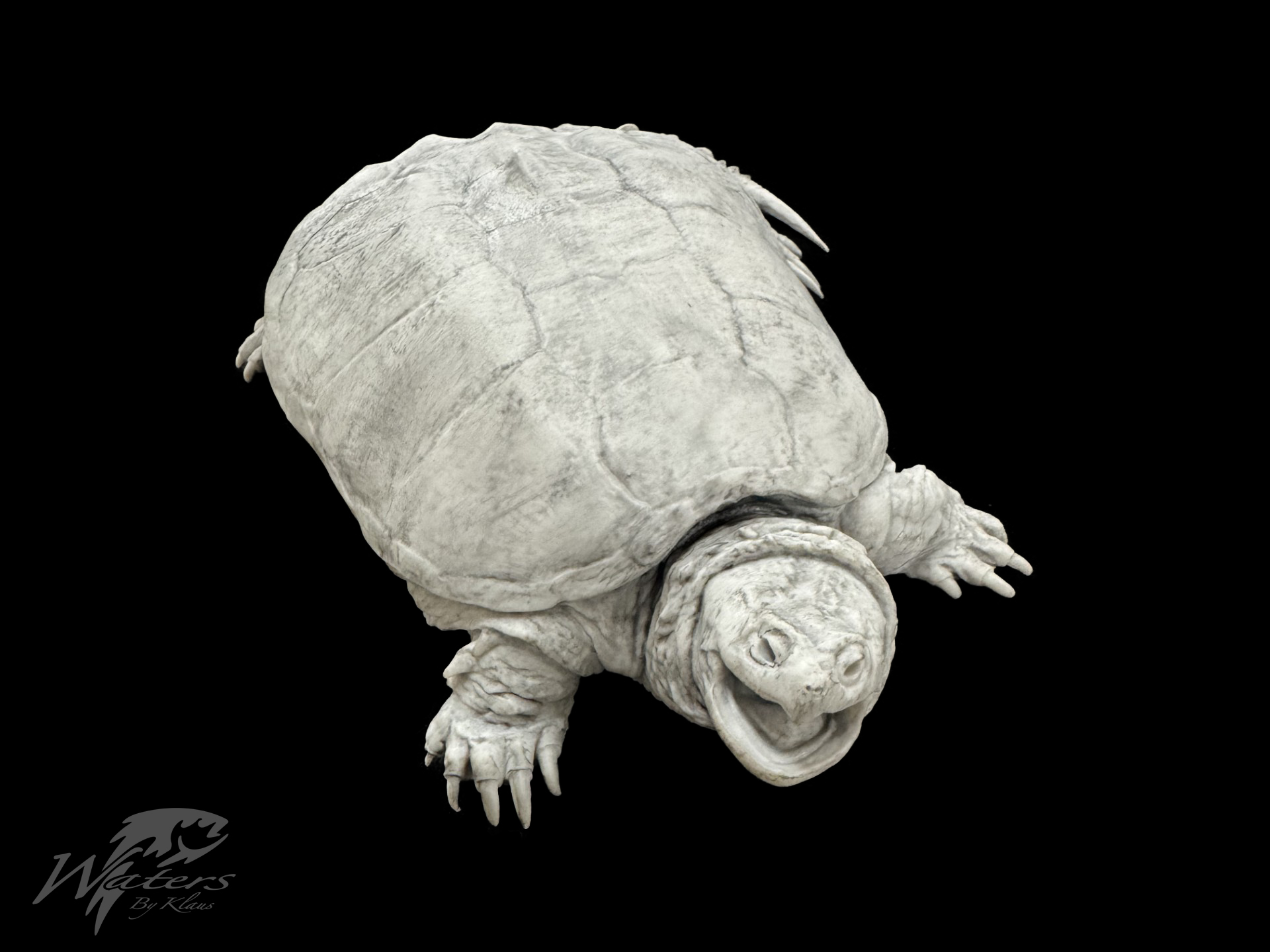 3D Printed Common Snapping Turtle Reproductions sold by Waters By Klaus